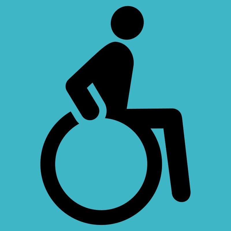 fauteuil roulant