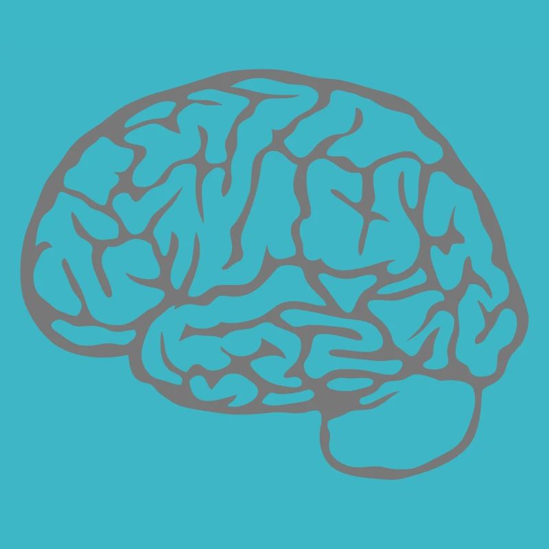 brain brain 23030
