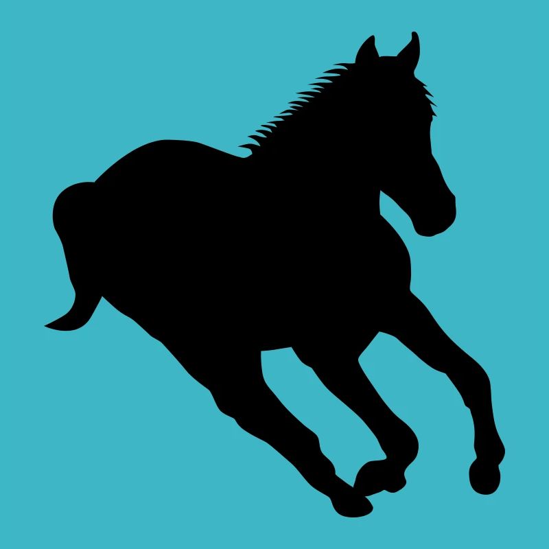 Rennendes Pferd - Wildpferd