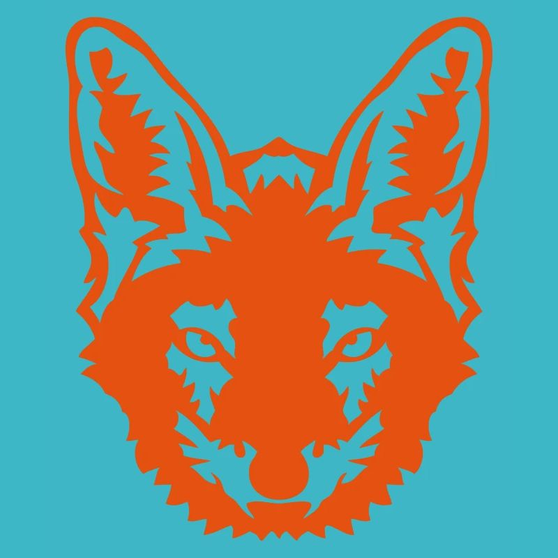 jackal wild animal 306