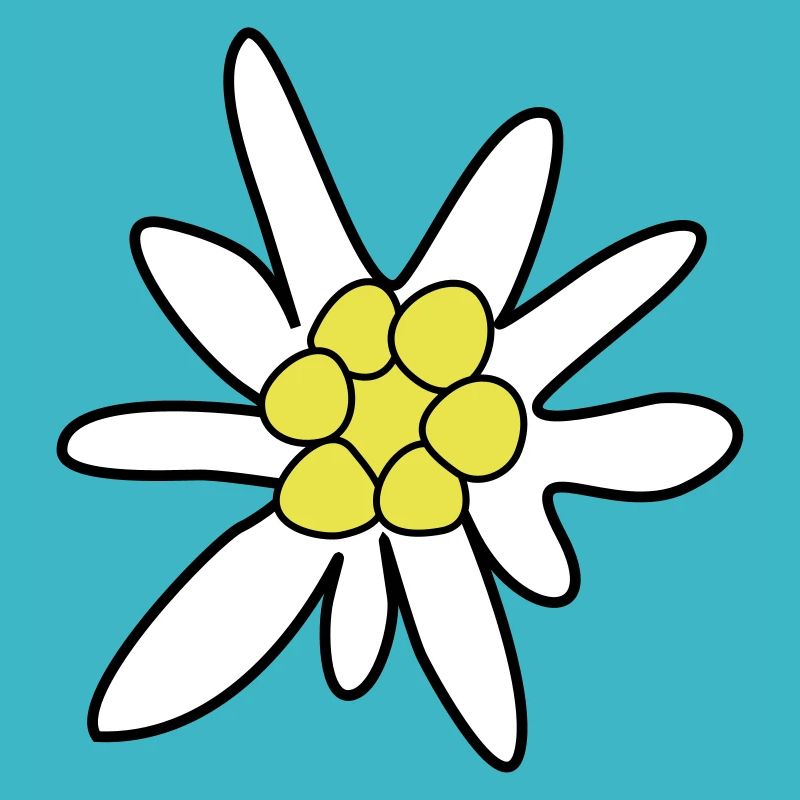 Edelweiss