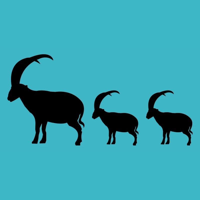 capricorne famille