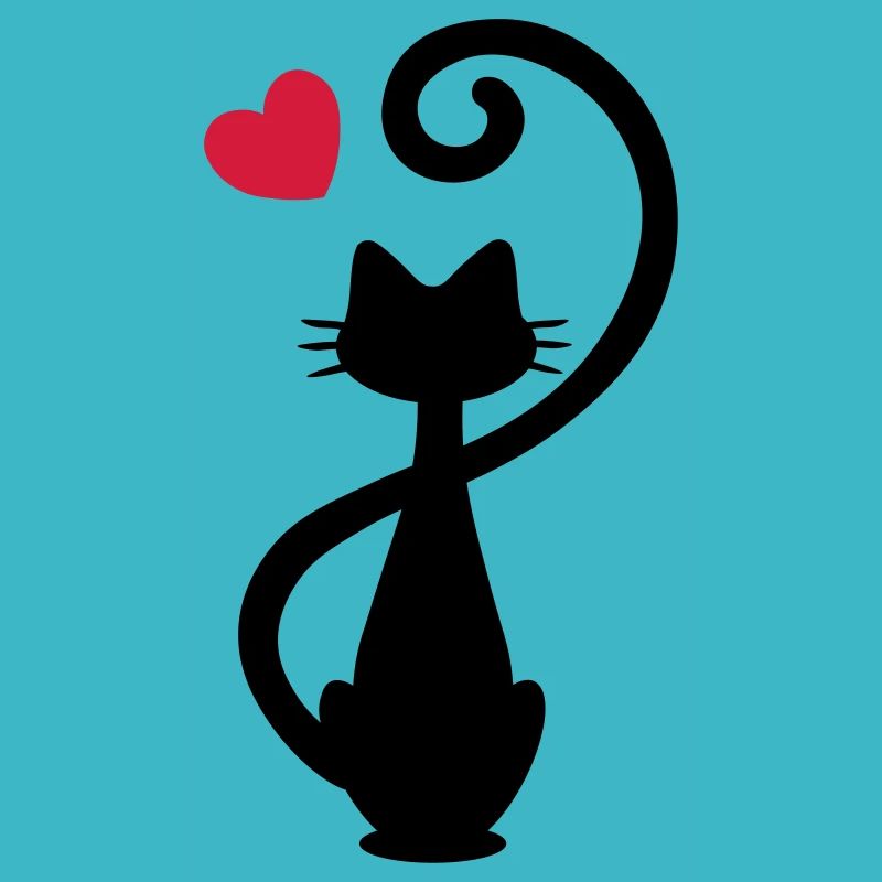 Chat - chat dame - chat - chat - minou