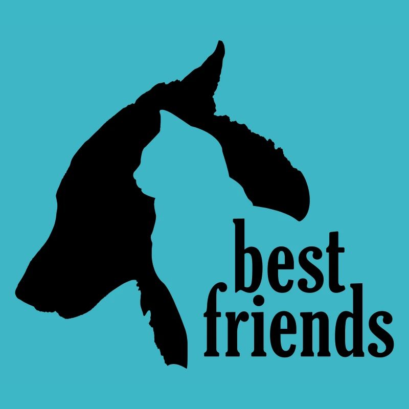 Hund Katze beste Freunde treuer Begleiter Gefährte