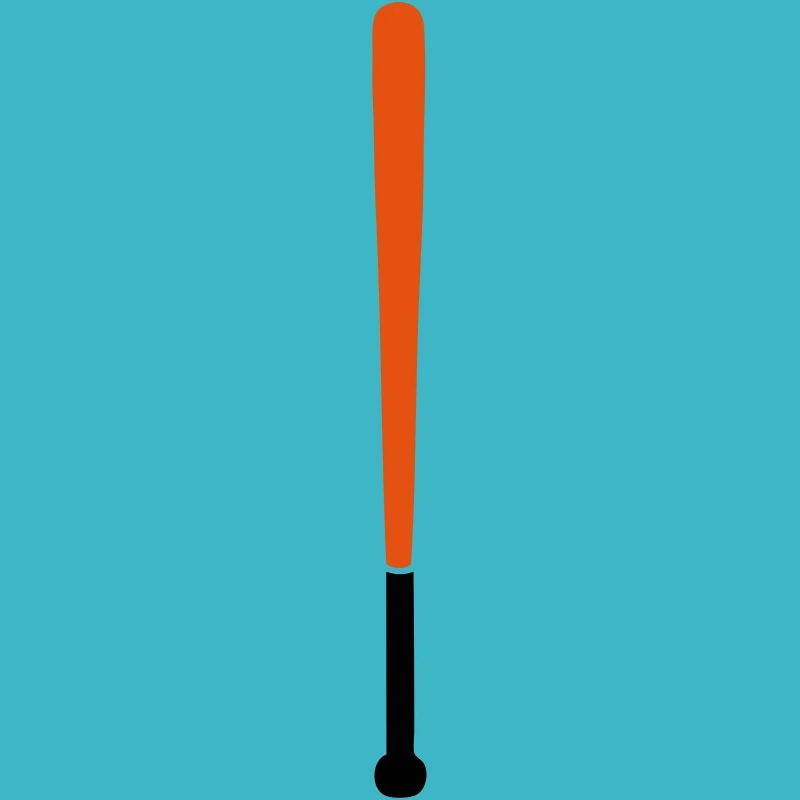 baseball bat