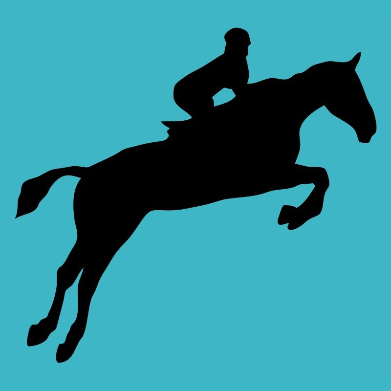 equitation cavalier obstacle cheval saut