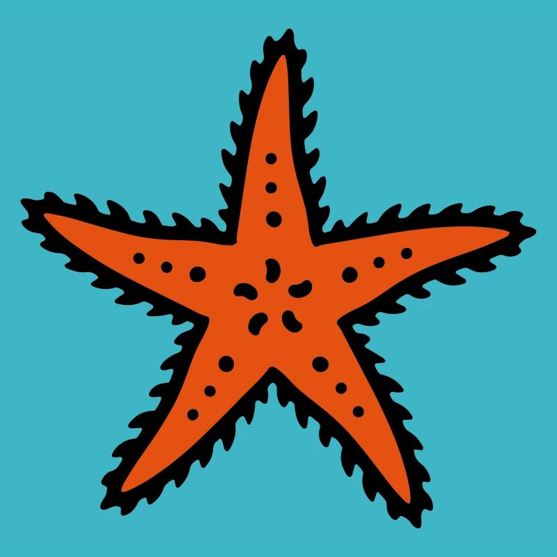 étoiles de mer starfish mer océan mer