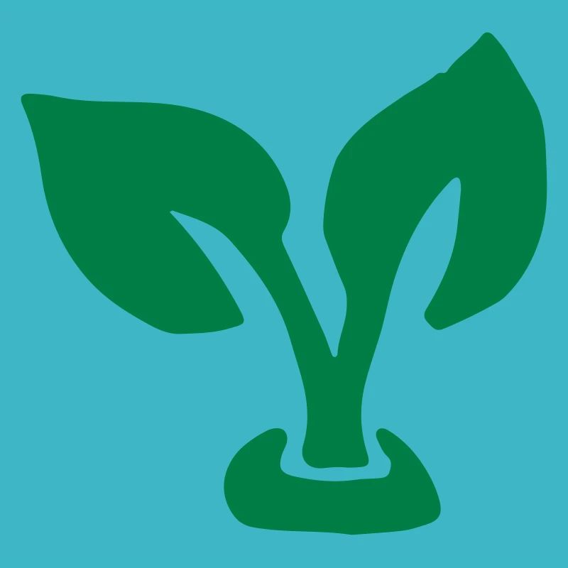 Feuille gross / leaf - plant - Germin