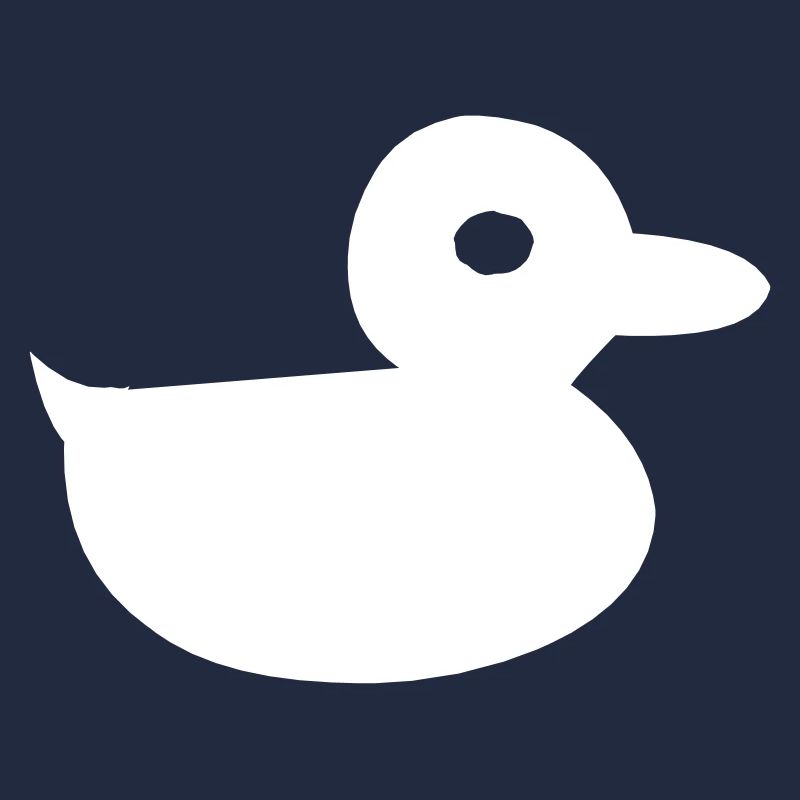 Cute duck
