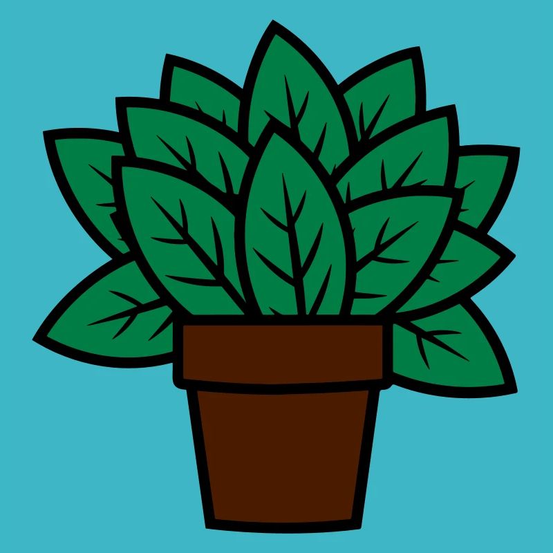 Pflanze Geschenkidee plant gift idea