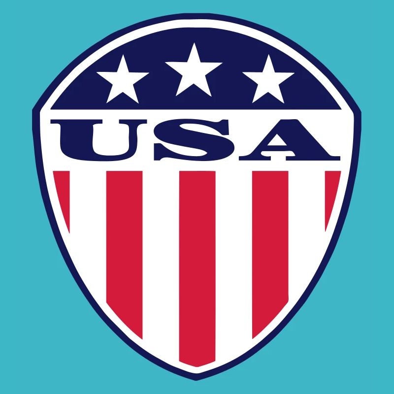 USA Flag Logo