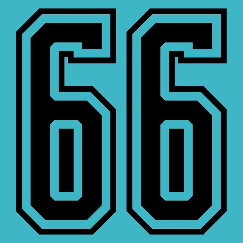 66 digit number