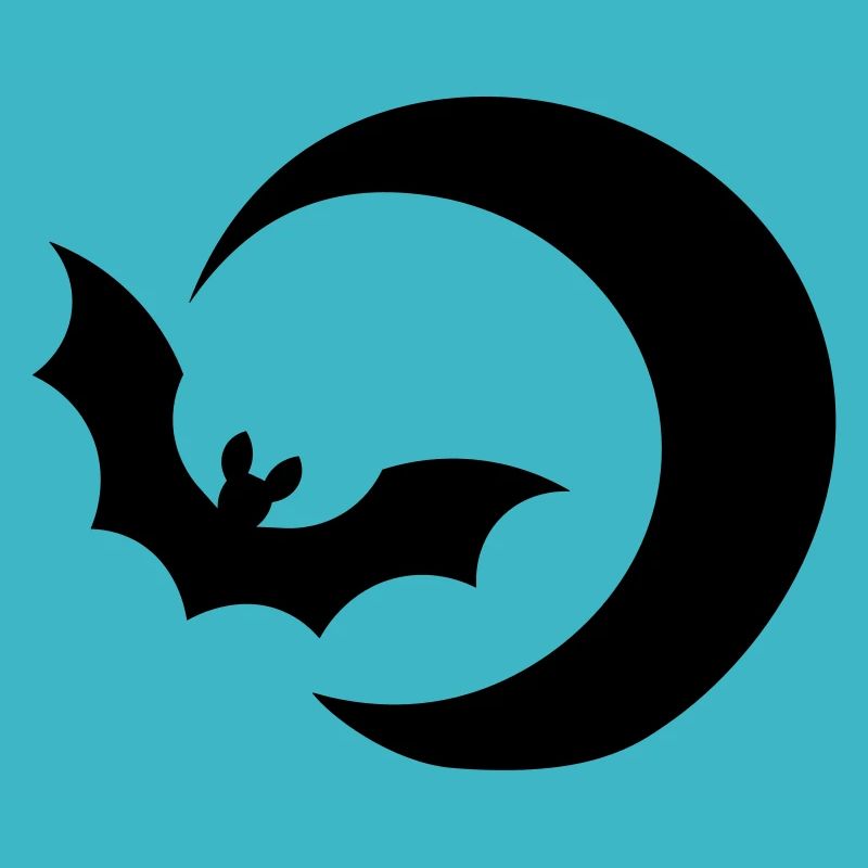 Bat & moon / bat & moon / night sky night