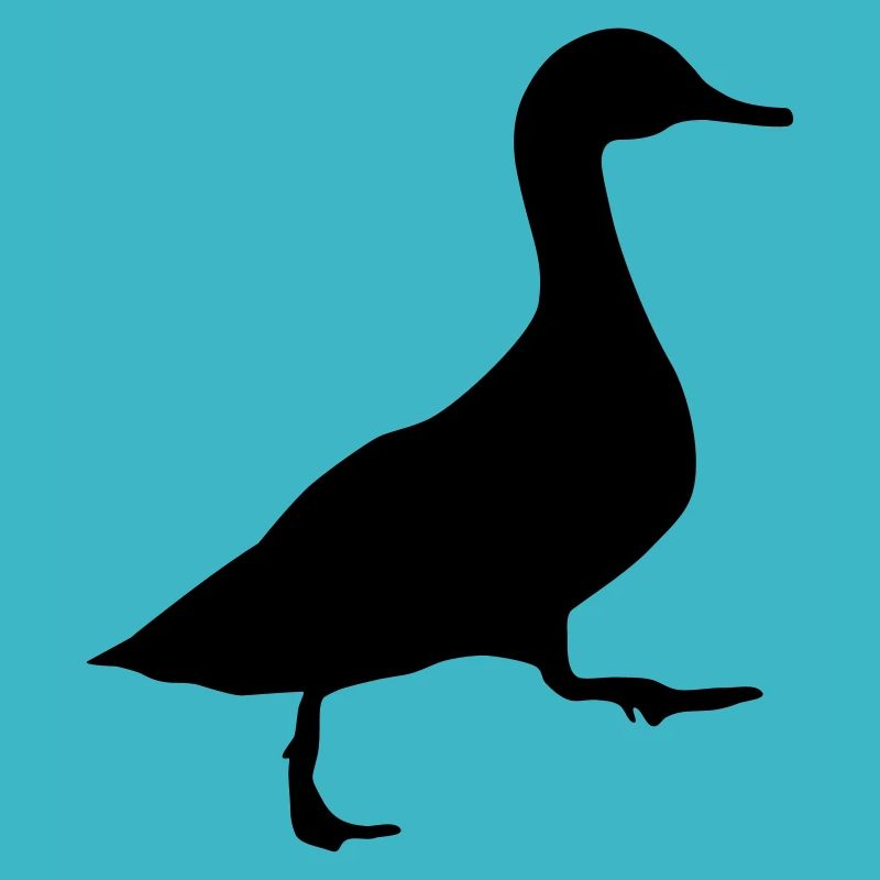 Duck (super cheap!)