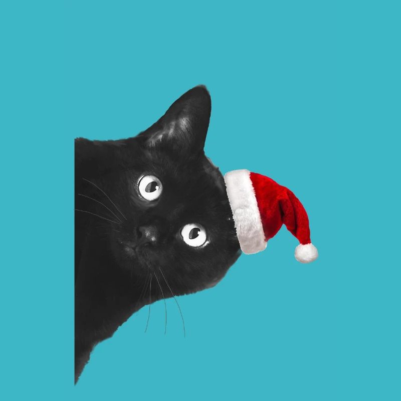 Chat de noel
