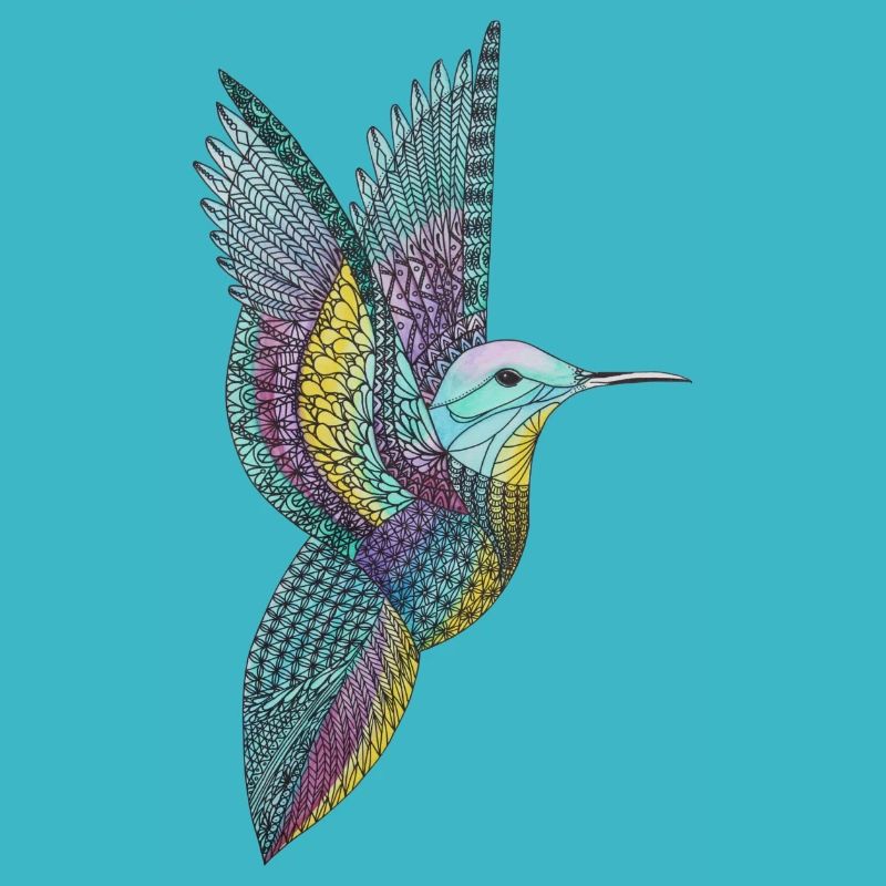 humming-bird