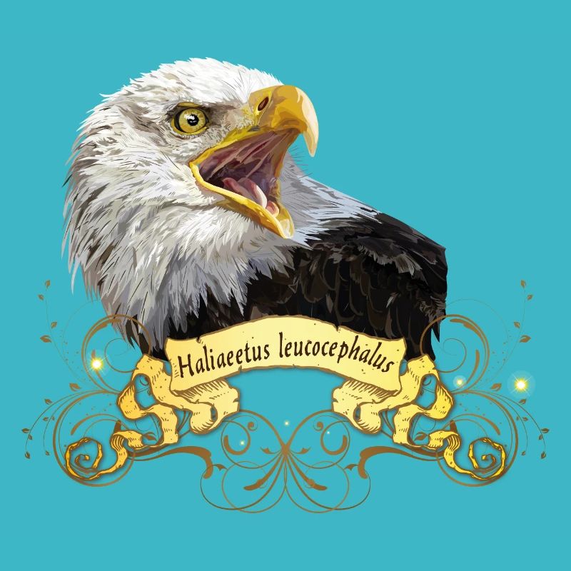 Bald eagle