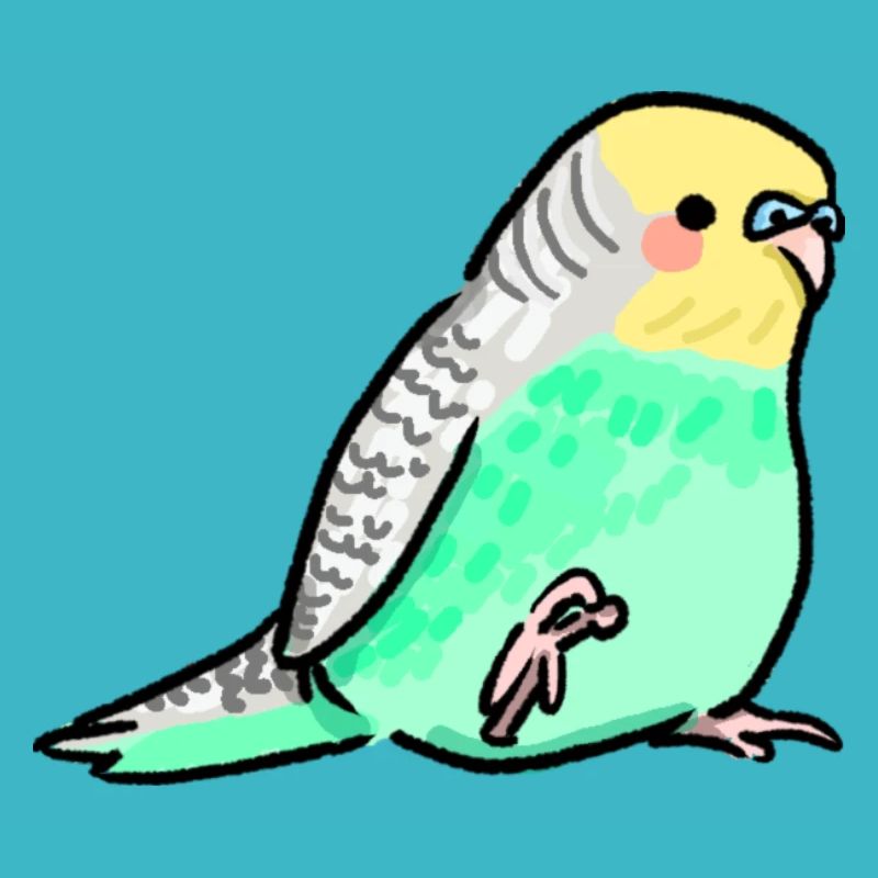 Budgie