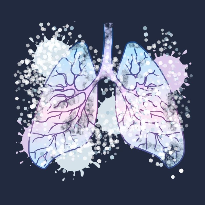 Lung bronchi