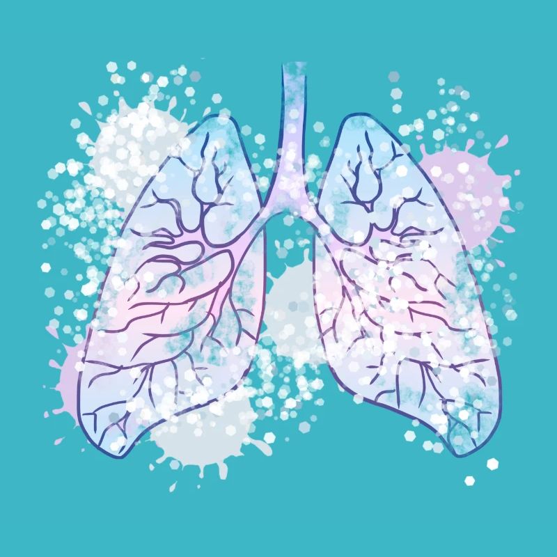Lung bronchi