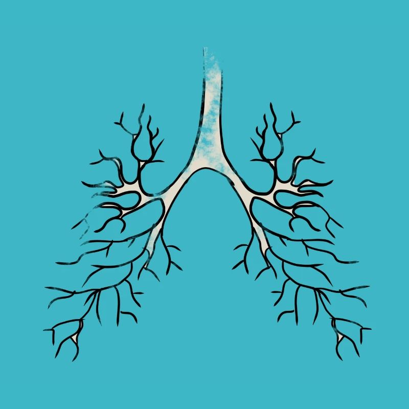 Bronchique Anatomie