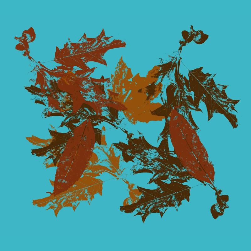 Feuilles