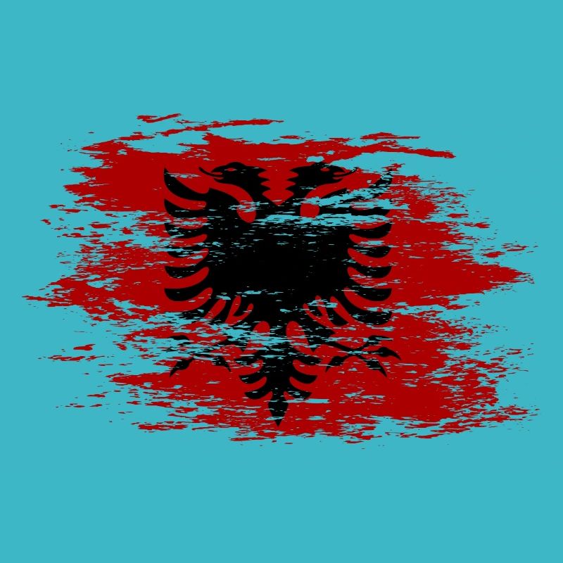 Albania used