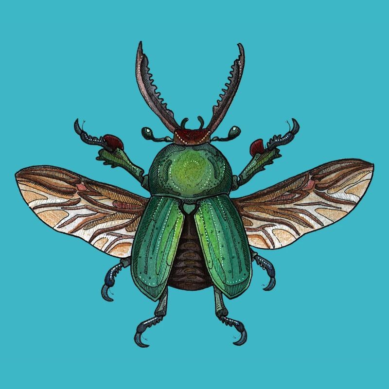 Big Green Beetle - coléoptère vert géant