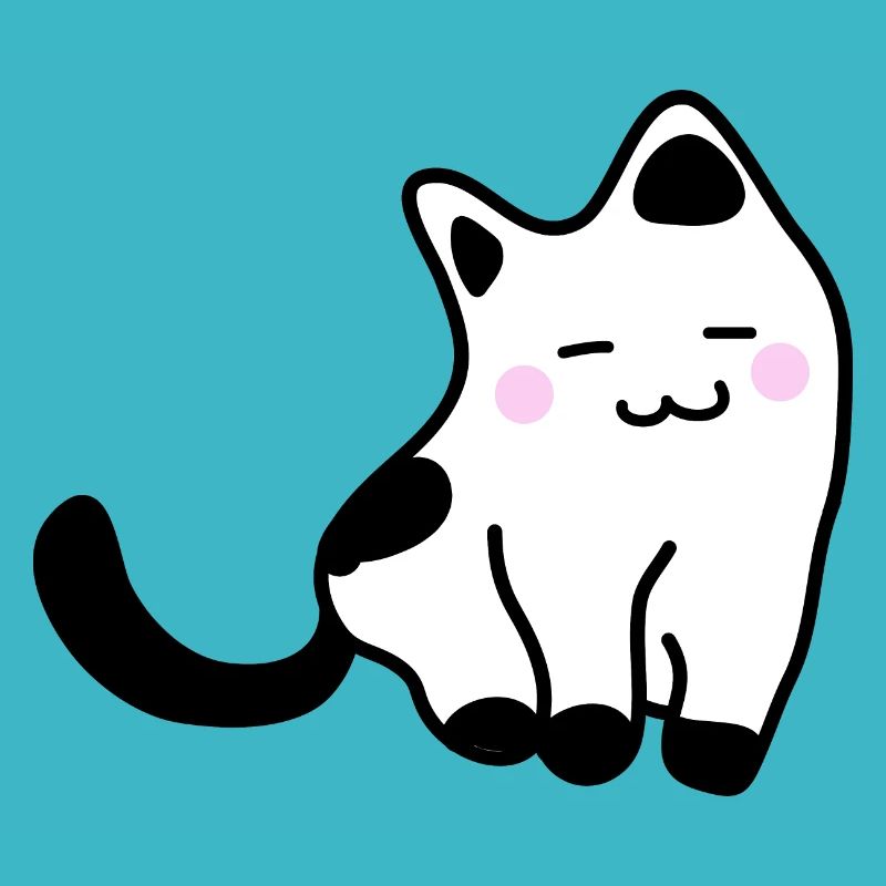 Chaton blanc