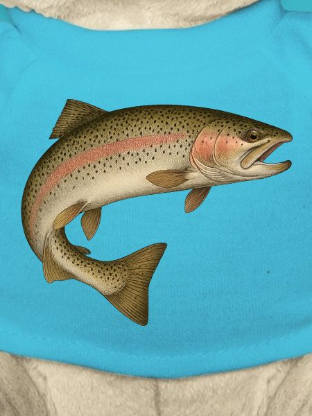 Fish Fishing