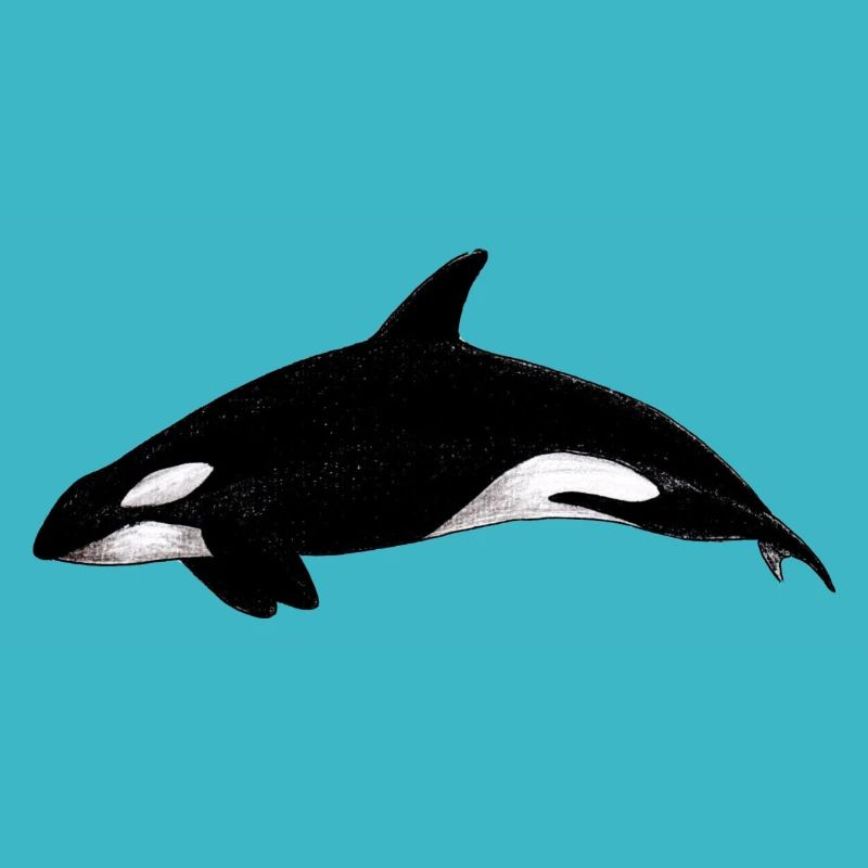 Orca