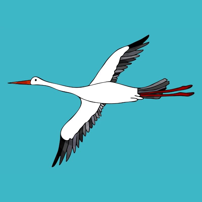 Storch