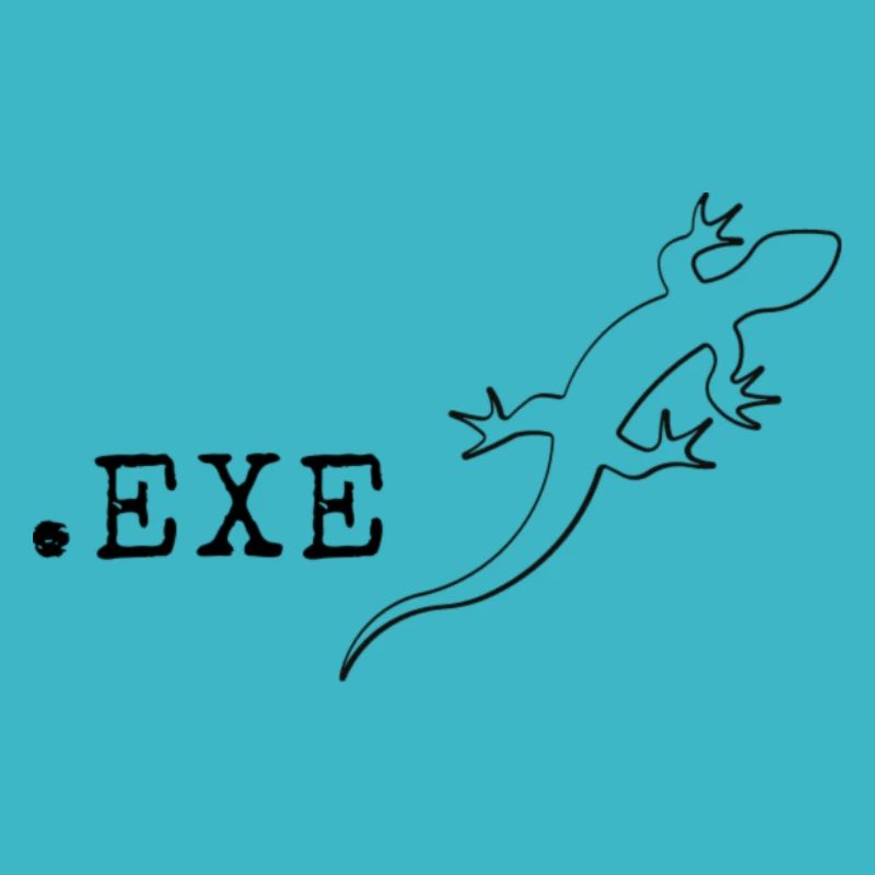 Computer scientist Programmer It Coding