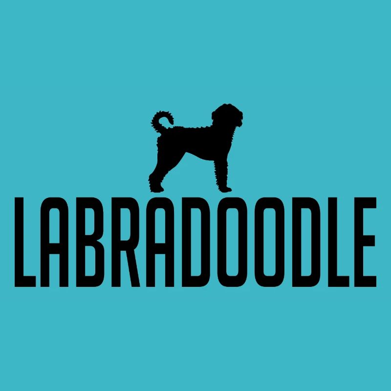 Labradoodle Hunderasse Hunde Wilsigns