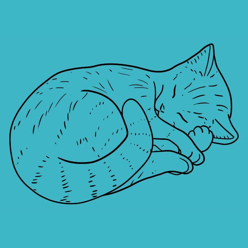 Cat drawing