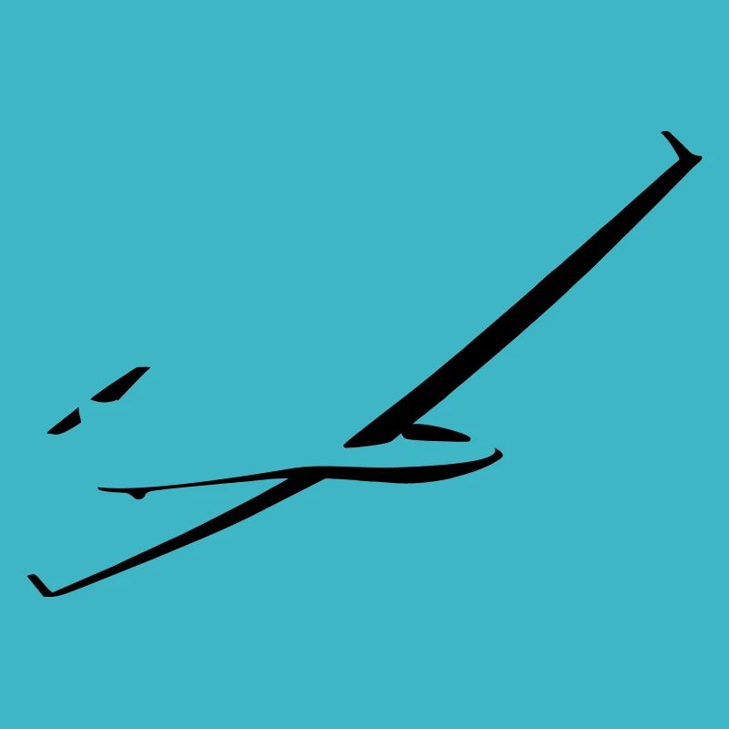 Glider glider flying glider pilot pilot