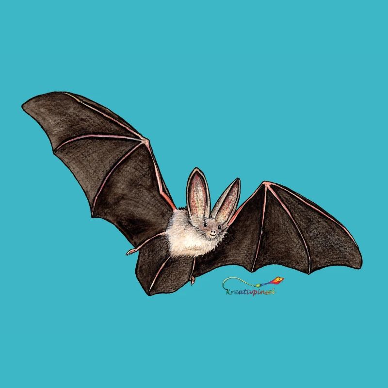 Mouse ear, a bat