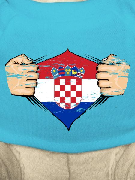Drapeau de la Croatie utilisé