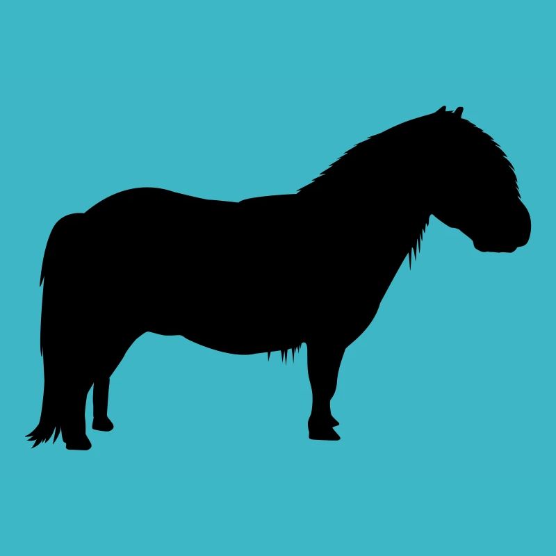 Shetty Shetland Shetlandpony