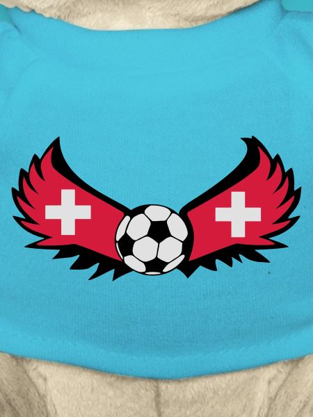 Schweizer Fussball