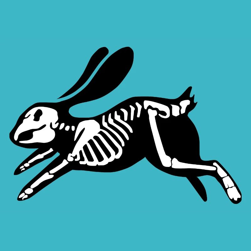 Black rabbit skeleton.