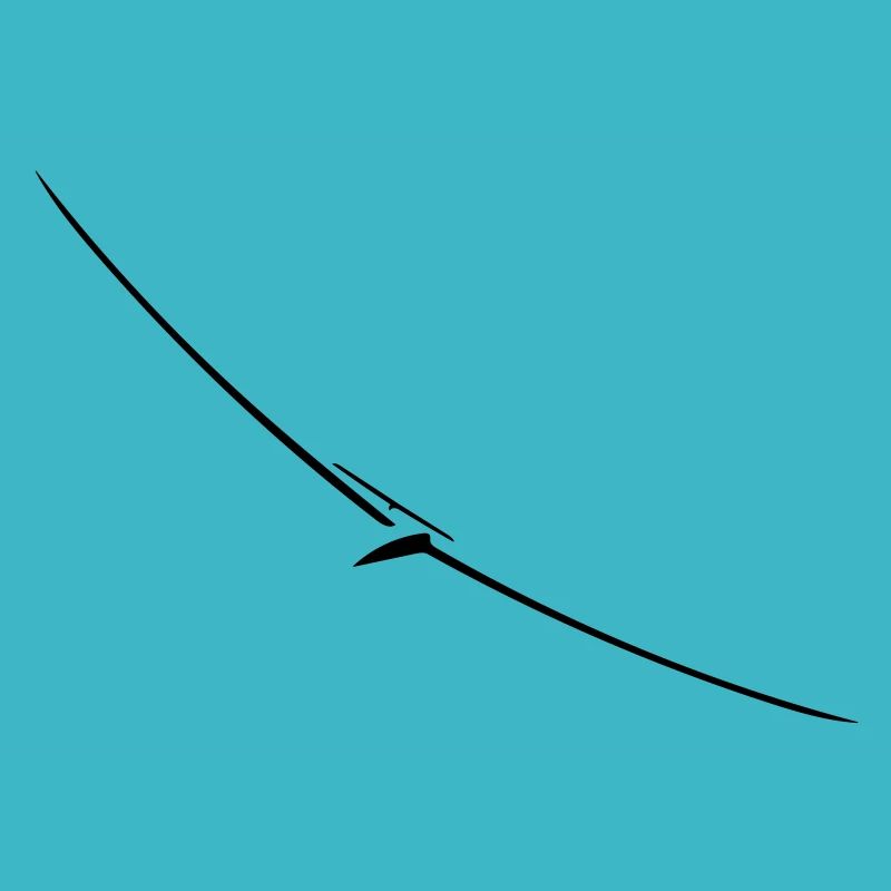Segelflugzeug