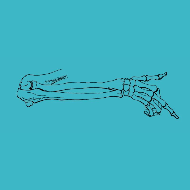 Skeleton hand