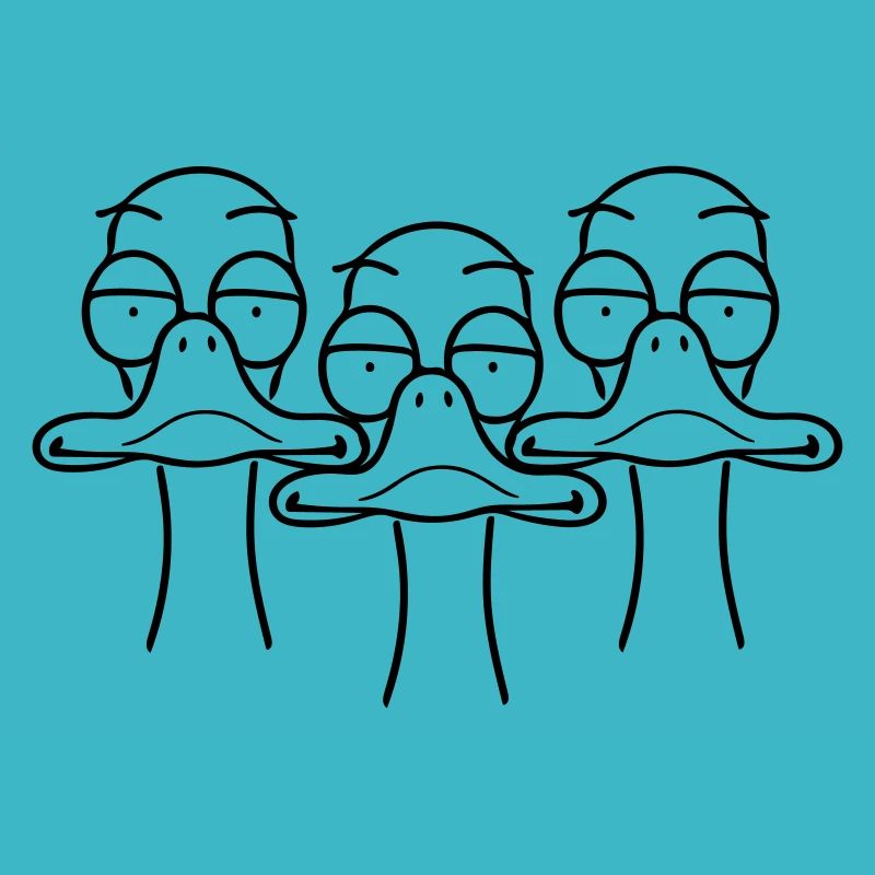 Trois canards drôles