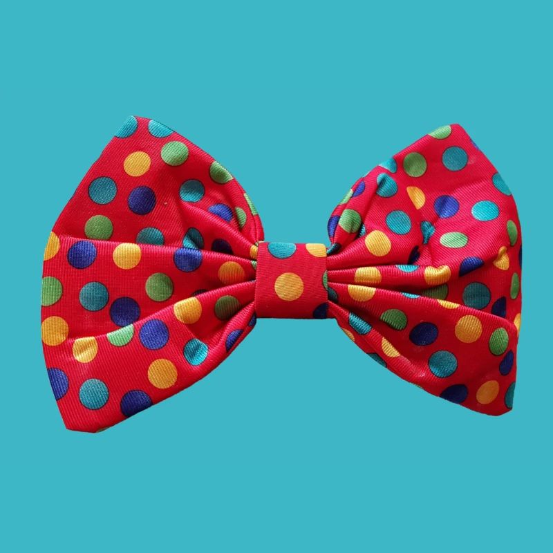 Clown fly