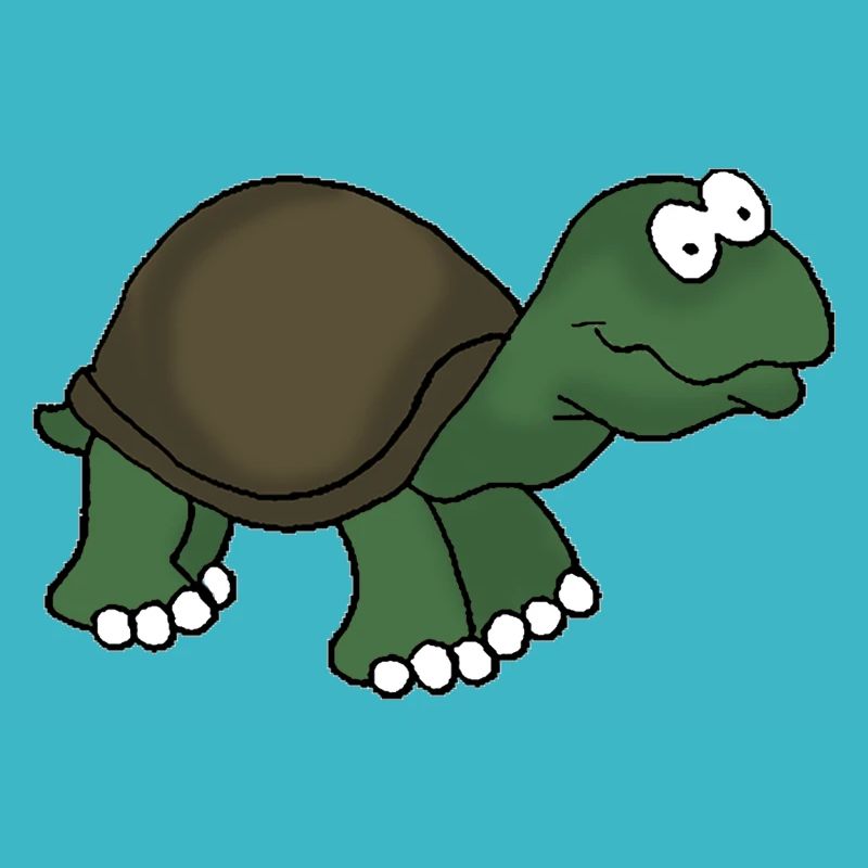 Tortue 1