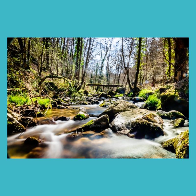 Fluss
