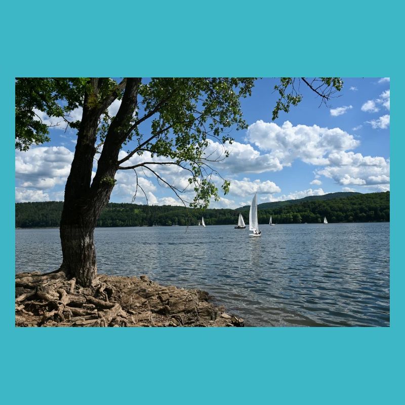 Lake Idyll