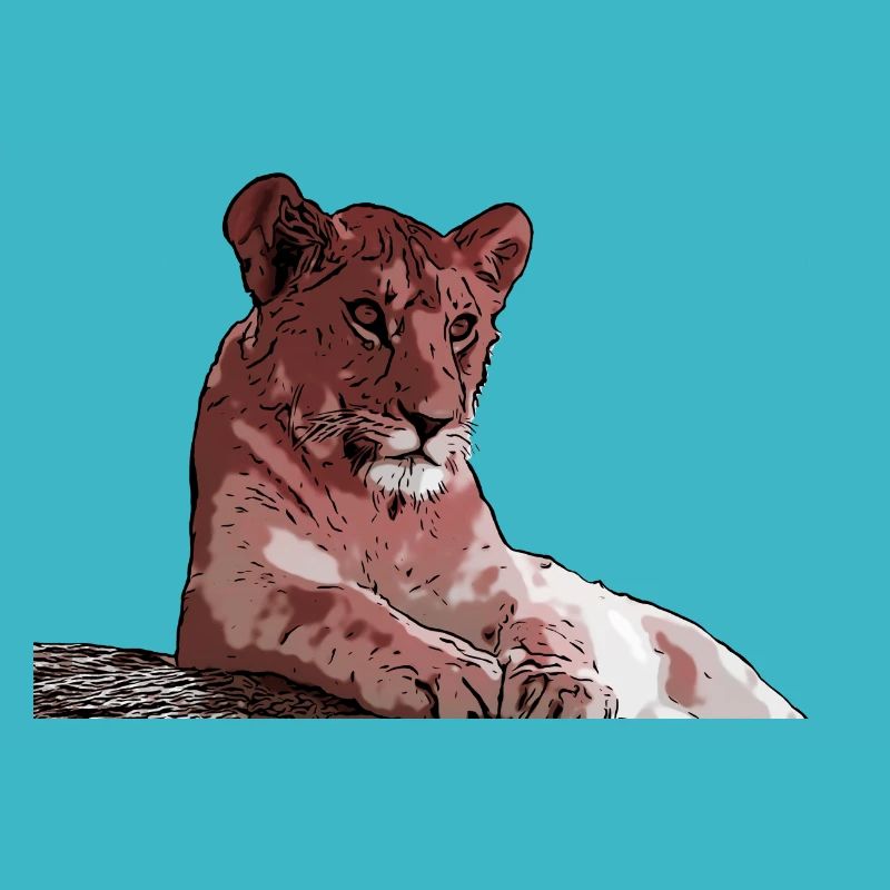 Young lion