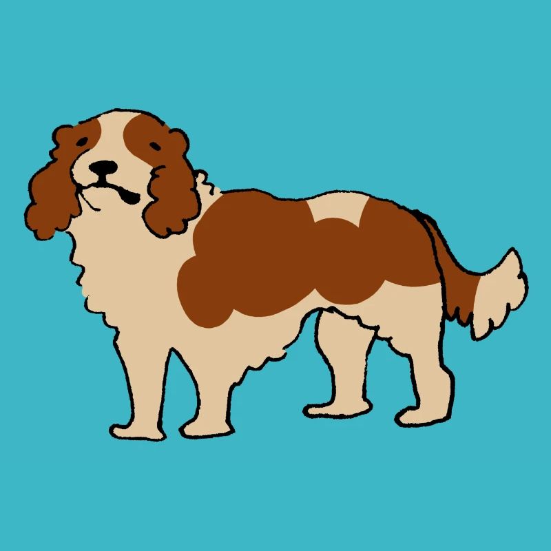 Cavalier King Charles Spaniel